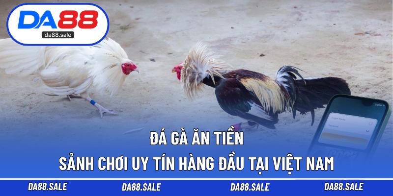 Đá Gà Ăn Tiền – Sảnh Chơi Uy Tín Hàng Đầu Tại Việt Nam